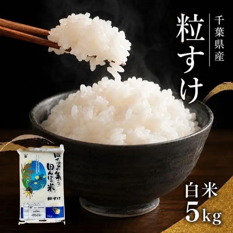 【先行予約・令和8年産】 粒すけ  白米5kg 　【 お米 こめ コメ おこめ 】 