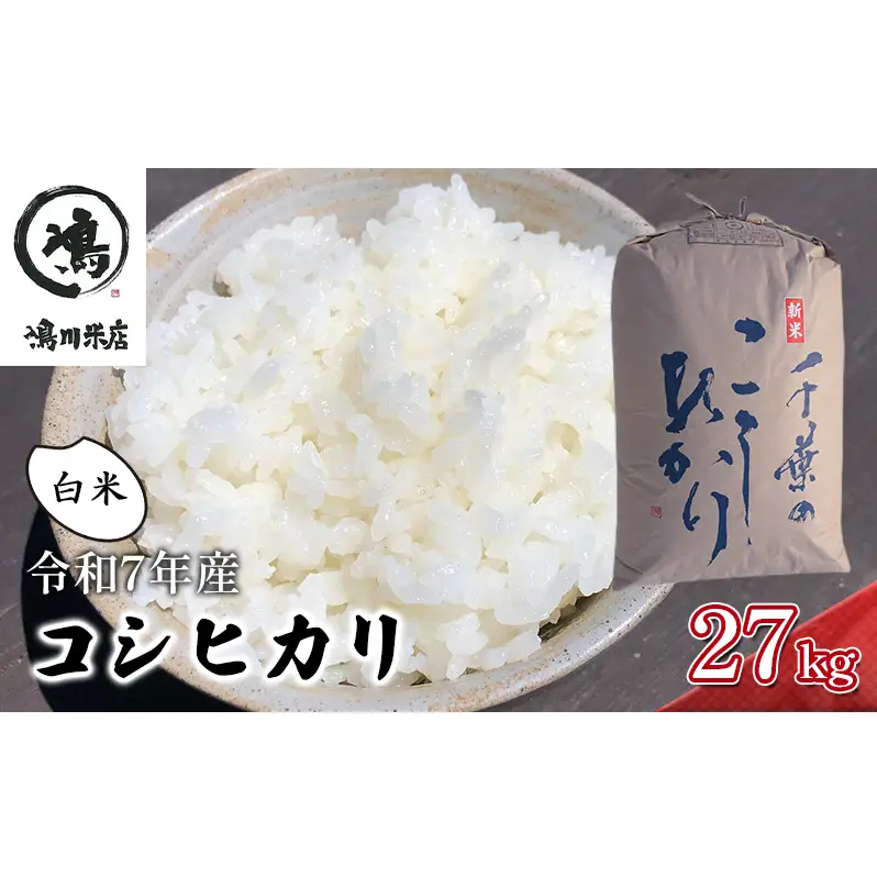 千葉産　令和7年コシヒカリ　白米27kg【 お米 粘りつやつや 甘み】 精米 ほんのり甘み 食感 新鮮 
