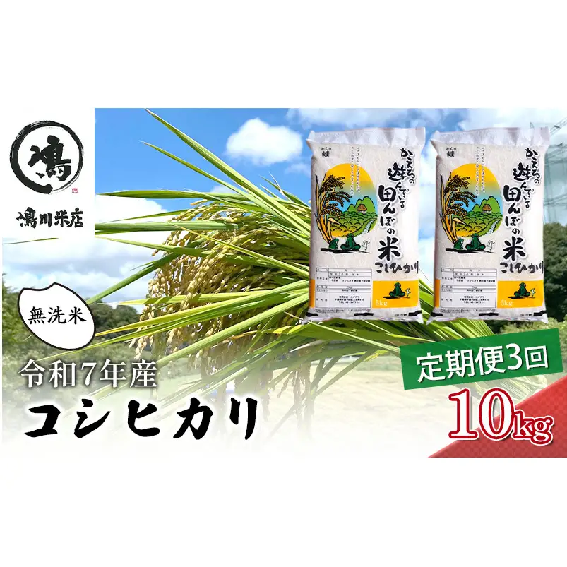 令和7年 3ヶ月定期便　コシヒカリ　無洗米　10kg（5kg×2）【定期便 お米  粘り甘み】 精米 粘りつやつや 美味しい 新鮮 