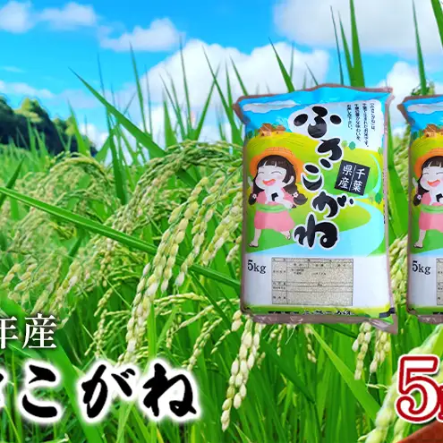 【令和8年産】ふさこがね    白米10kg（5kg×2）【お米こめコメおこめ】千葉県