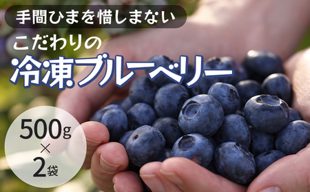 冷凍こだわりブルーベリー　500g×2【フルーツ  冷凍 1kg】 果物詰合せ 千葉県 