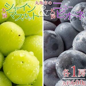 丸亀市の大房シャインマスカット＆大房ニューピオーネ 各1房（各約600g） 果物 ぶどう フルーツ 果汁 甘い 濃厚 風味 種なし ジューシー 人気 セット 詰合せ FAH-0063