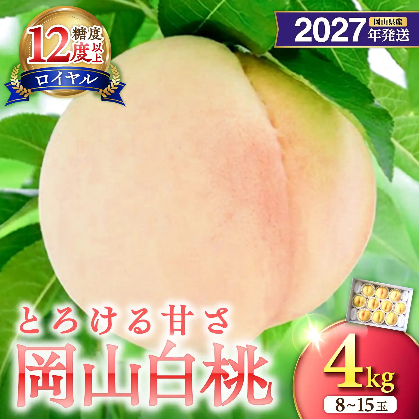 【2027年発送分・先行予約開始！】岡山県産 白桃 最高ランク！「ロイヤル」約4kg（ 8～15玉）（令和9年7月以降発送）【桃】