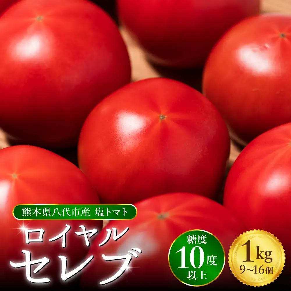 トマト 【先行予約】 くまもと塩トマト 「ロイヤルセレブ」 約1kg 【2027年1月上旬より順次発送】 トマト