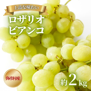 【令和8年産 先行予約】 ロザリオビアンコ ぶどう 約2kg | 新潟県 弥彦村