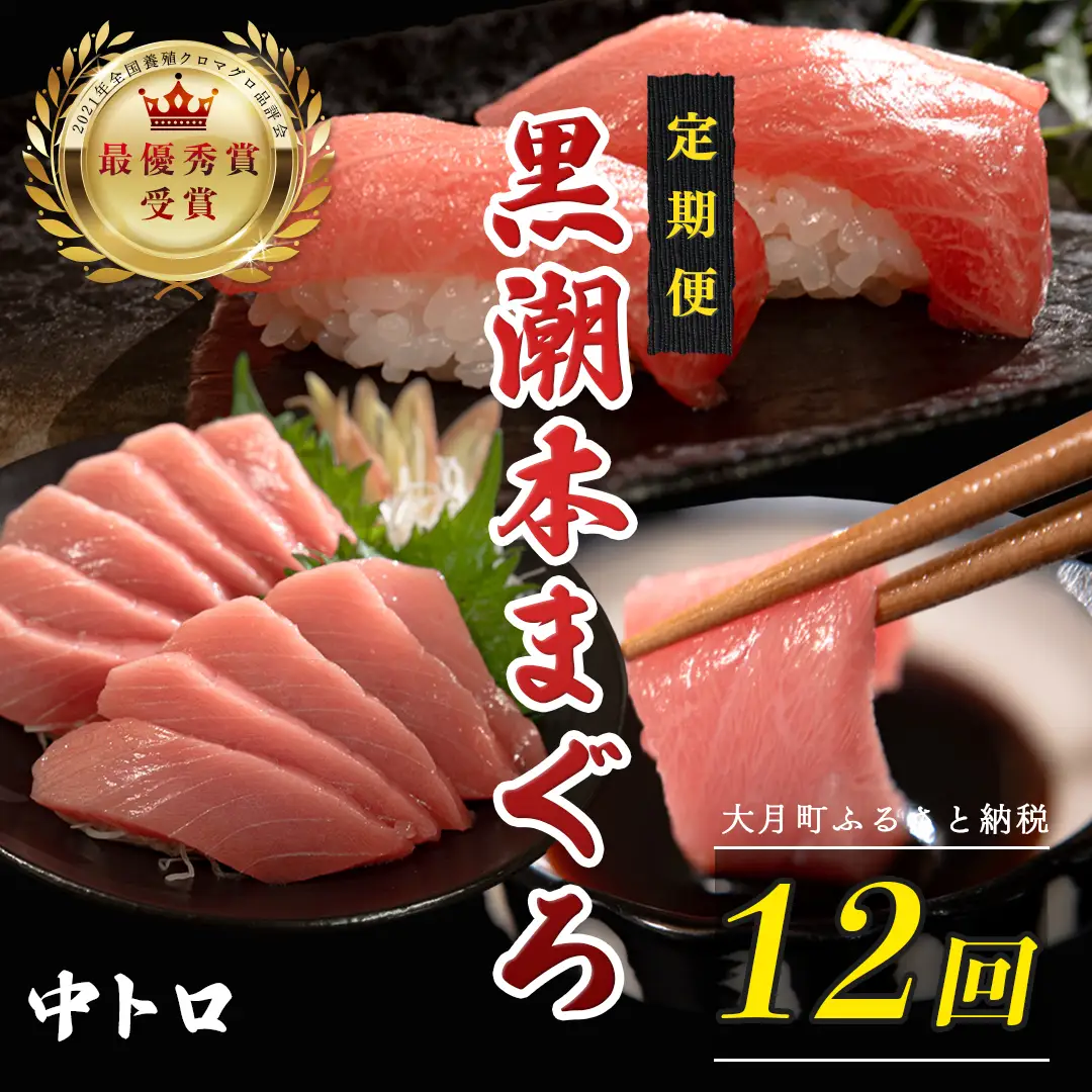 訳あり 不定貫 定期便12回 日本一!黒潮本まぐろ 中トロ (PT0080_0527)