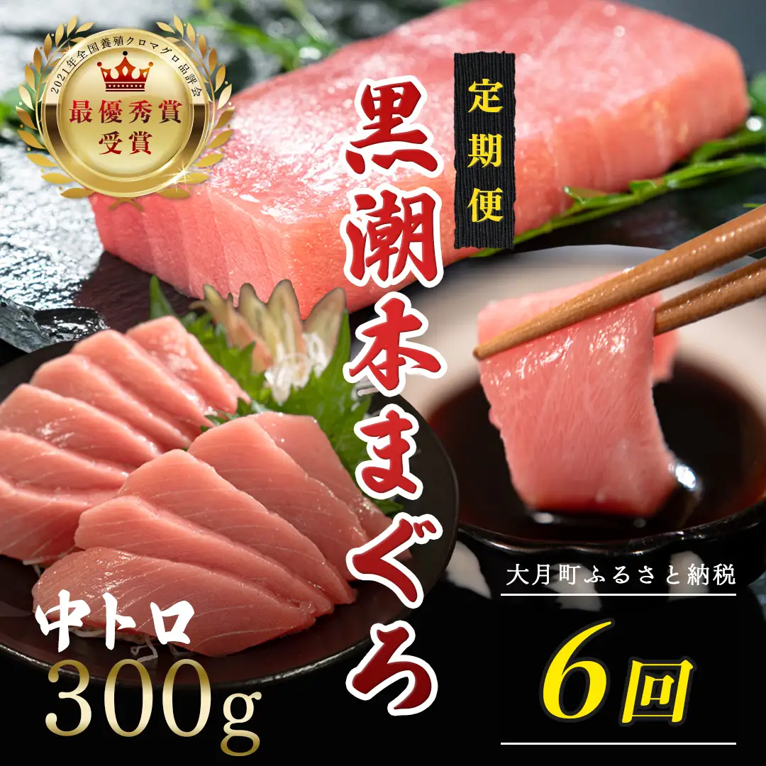 訳あり 不定貫 定期便6回 日本一!黒潮本まぐろ 中トロ (PT0080_0531)