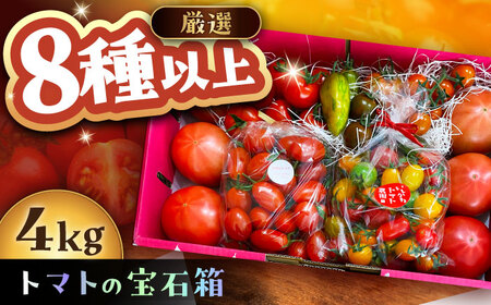 【2週間以内に発送！】 トマトの宝石箱 4kg / 恵那市 / クリエイティブファーマーズ [AUAH015]