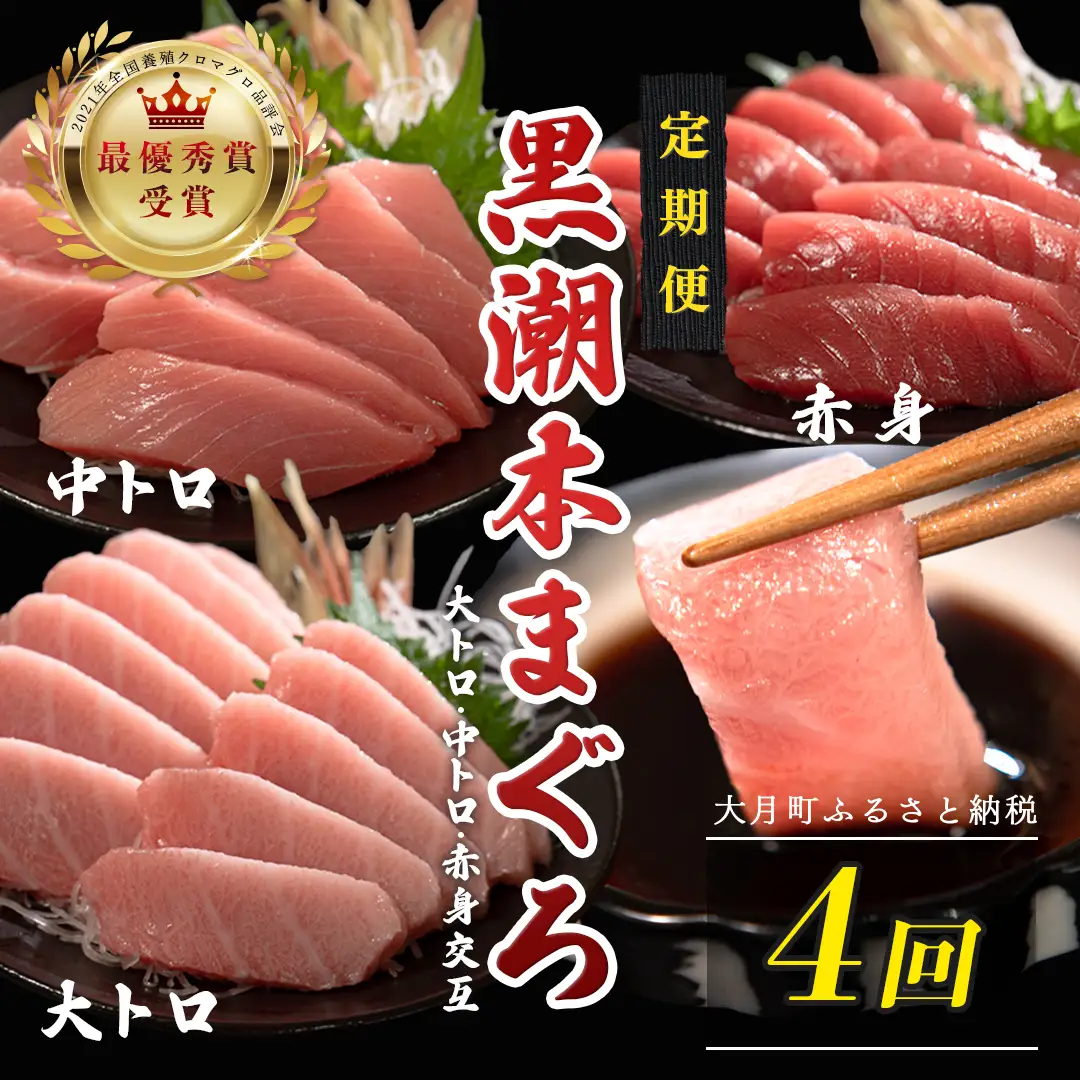 訳あり 不定貫 定期便4回 日本一!黒潮本まぐろ 大トロ・中トロ・赤身(交互) (PT0080_0535)