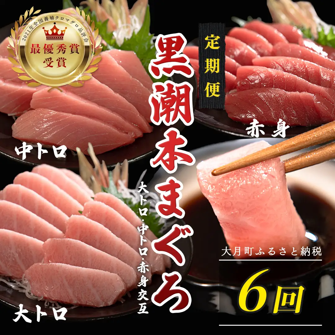 訳あり 不定貫 定期便6回 日本一!黒潮本まぐろ 大トロ・中トロ・赤身（交互） (PT0080_0536)
