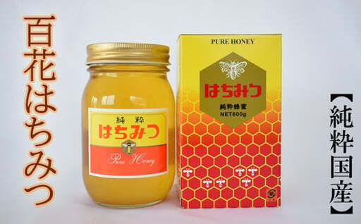 純粋国産 和歌山県産百花はちみつ600g ※2027年1月中旬～2027年1月下旬