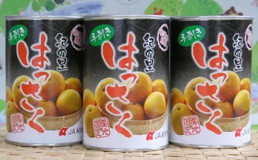  和歌山産手剥き八朔缶詰450g×8缶入り / 果物 くだもの フルーツ みかん 缶詰 【tec107-450-8A】