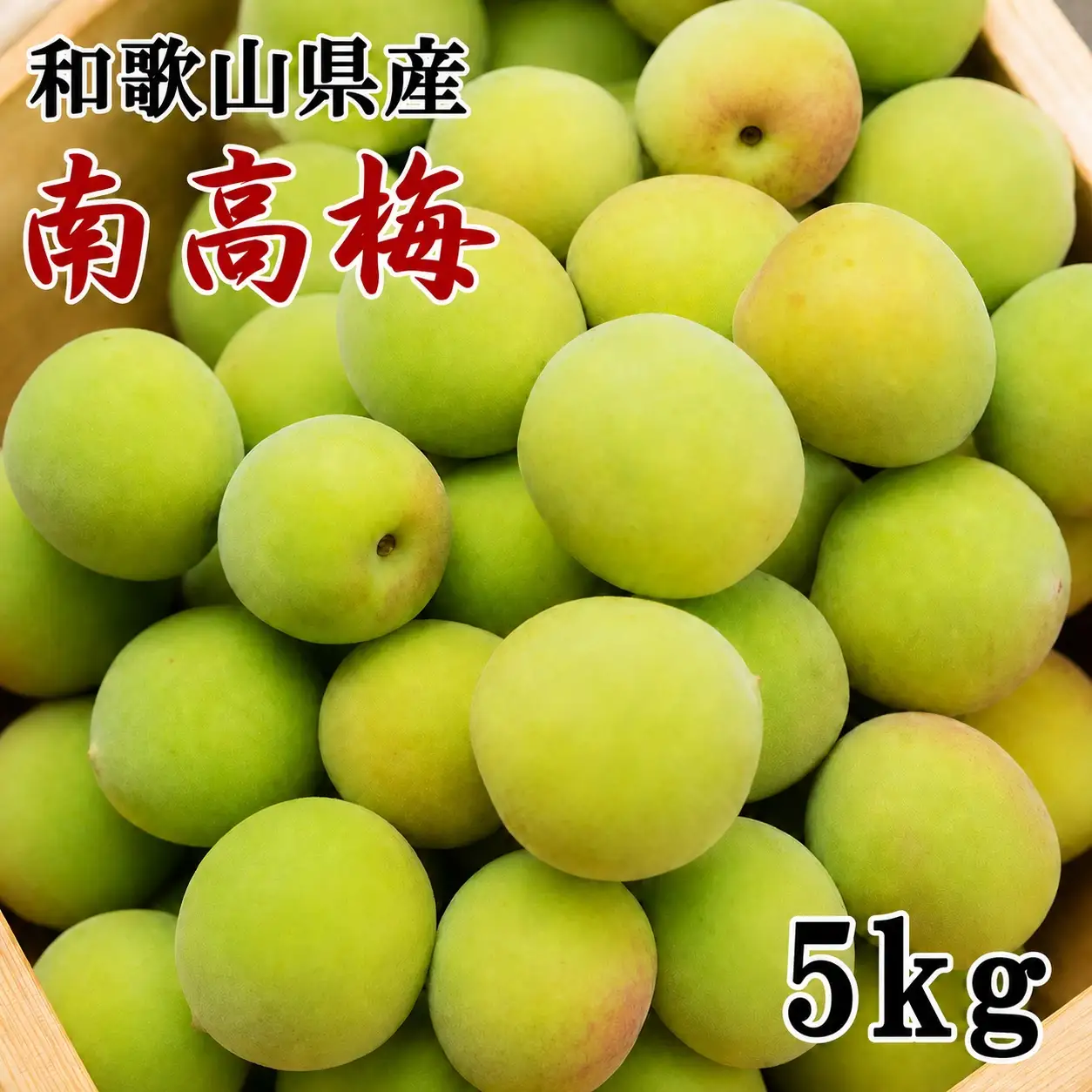 【和歌山名産】 南高梅 5kg (サイズ混合)　 / 青梅 生梅 完熟 梅干し 和歌山県 紀州 梅酒 梅ジュース 梅シロップ ※2027年6月上旬～6月下旬頃に順次発送 ※北海道・沖縄・離島への配送不可 【tec508-r-5A】