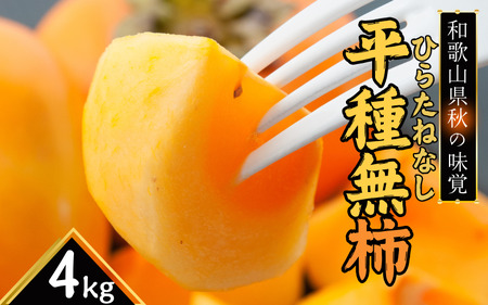  【先行予約】和歌山秋の味覚　平核無柿（ひらたねなしがき）約4kg　化粧箱入　※2026年10月上旬頃〜2026年11月上旬頃順次発送（お届け日指定不可）/柿 果物 フルーツ くだもの 先行予約【uot701A】