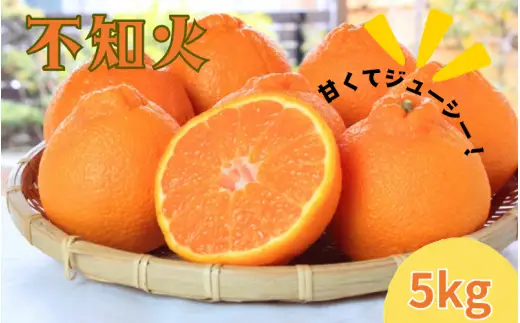 紀州 有田産 不知火 (しらぬひ) 5kg / みかん 蜜柑 フルーツ 果物 くだもの ※2027年2月下旬頃〜3月中旬頃に順次発送予定(お届け日指定不可) ※離島への配送不可 【uot709A】