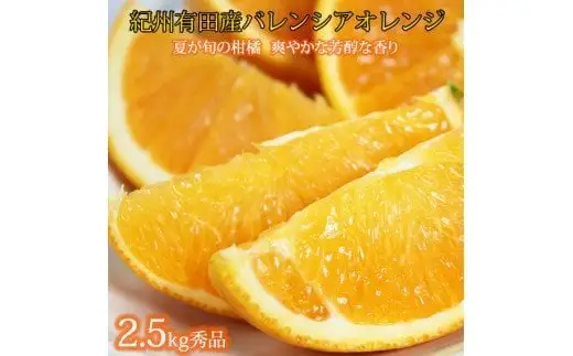  【先行予約】 秀品 希少な 国産 バレンシア オレンジ 2.5kg / みかん フルーツ 果物 柑橘 ※2027年6月下旬〜7月上旬頃順次発送（お届け日指定不可） ※離島への配送不可【uot752】