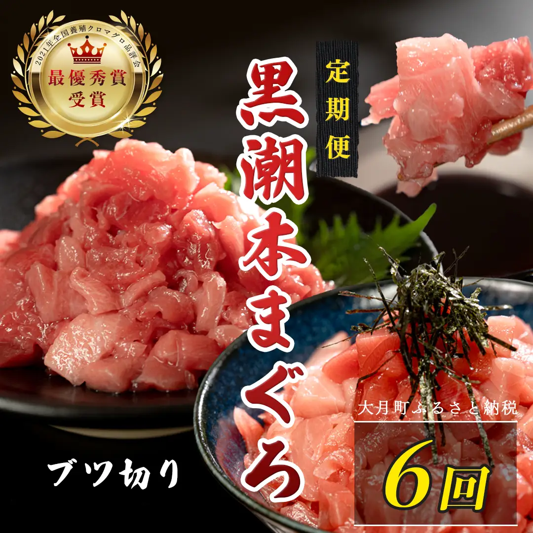 訳あり 不定貫 定期便6回 日本一!黒潮本まぐろ ブツ切り (PT0080_0540)