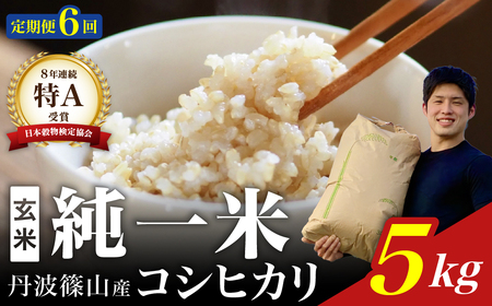 定期便6回【令和７年産】丹波篠山産 コシヒカリ 玄米 5kg DS09