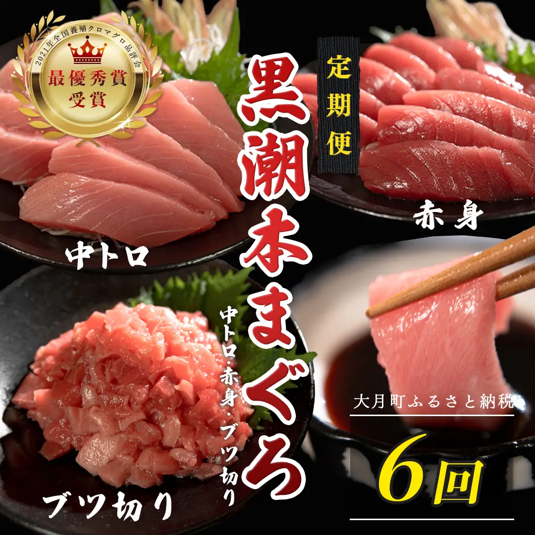 訳あり 不定貫 定期便6回 日本一!黒潮本まぐろ 中トロ・赤身・ブツ切り（3種交互） (PT0080_0542)