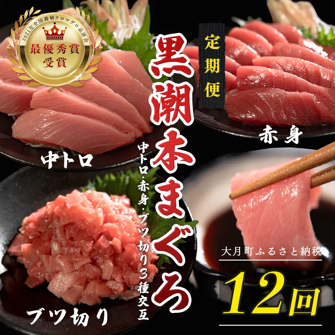 訳あり 不定貫 定期便12回 日本一!黒潮本まぐろ 中トロ・赤身・ブツ切り（3種交互） (PT0080_0543)