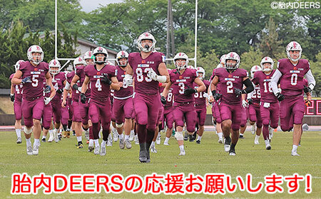 胎内DEERSへの応援（返礼品の送付はございません）