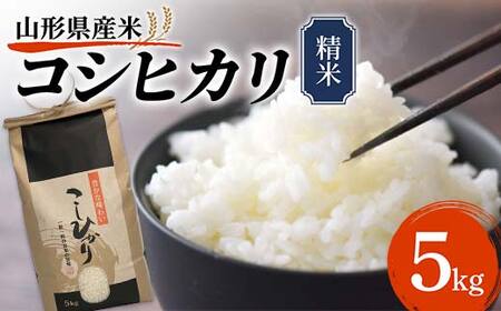 《先行予約》令和8年産 山形県産米 コシヒカリ 5kg こしひかり 精米 米 お米 おこめ 山形県 新庄市 F3S-2990