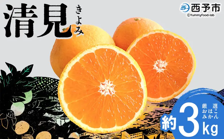 ＜おはこやがつくる 清見 約3kg（L～3Lサイズ）＞ 果物 フルーツ 柑橘 清見タンゴール みかん 特産品 西宇和 愛媛県 西予市【常温】『2027年3月上旬～3月中旬に順次出荷予定』MOK0001
