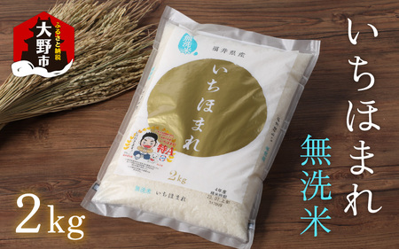 【令和7年産】【福井のブランド米】【特A獲得】いちほまれ 無洗米 2kg × 1袋