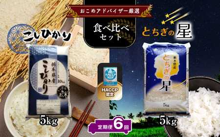 【定期便6回】真岡市のおこめアドバイザー泉 智が厳選！真岡産コシヒカリ・とちぎの星食べ比べセット