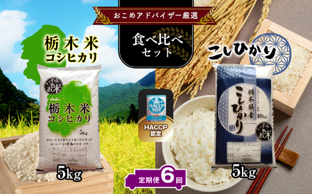 【定期便6回】真岡市のおこめアドバイザー泉 智が厳選！ 真岡産・栃木県産コシヒカリ食べ比べセット
