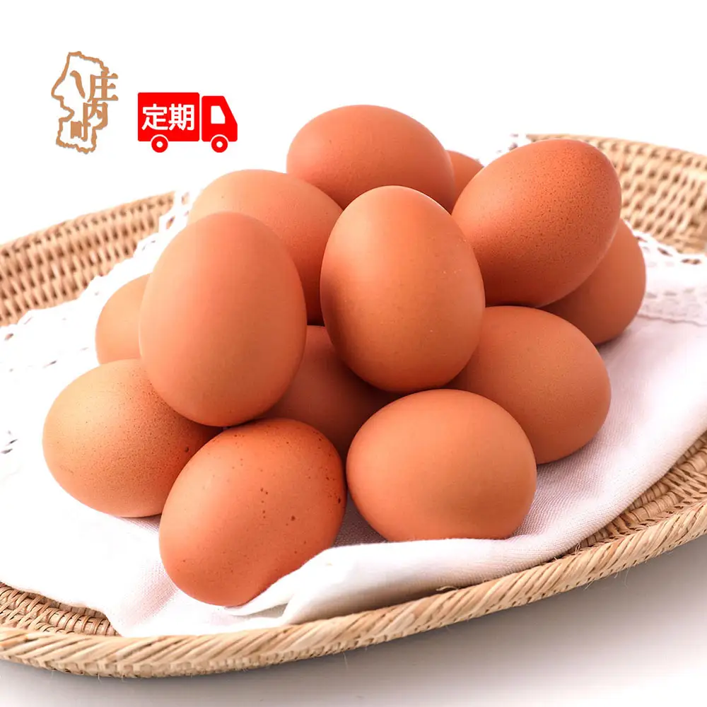 【定期便】地養卵 30個 MS~Lサイズ 6ヶ月 毎月お届け 新鮮 卵 たまご 鶏卵 生卵 地養卵 赤たまご スズキのたまご【9月中旬発送】