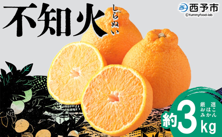 ＜おはこやがつくる おはこデコ（不知火）約3kg（L～3Lサイズ）＞ 果物 フルーツ 柑橘 しらぬい みかん 特産品 西宇和 愛媛県 西予市【常温】『2027年2月上旬～2月中旬迄に順次出荷予定』MOK0002