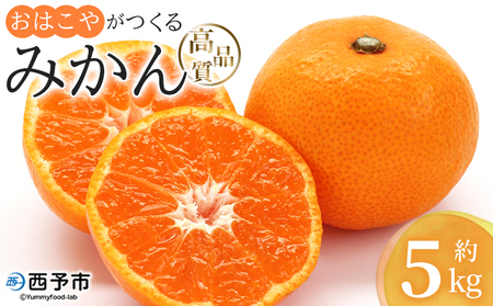 ＜おはこやがつくる 高品質みかん 約5kg（S～Lサイズ）＞ 果物 フルーツ 柑橘 ミカン 蜜柑 特産品 西宇和 愛媛県 西予市【常温】『2026年11月中旬～12月中旬迄に順次出荷予定』MOK0003