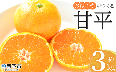 ＜おはこやがつくる 甘平 約3kg（L～3Lサイズ）＞ 果物 フルーツ 柑橘 カンペイ みかん ミカン 蜜柑 特産品 西宇和 愛媛県 西予市【常温】『2027年1月下旬～2月上旬迄に順次出荷予定』MOK0004