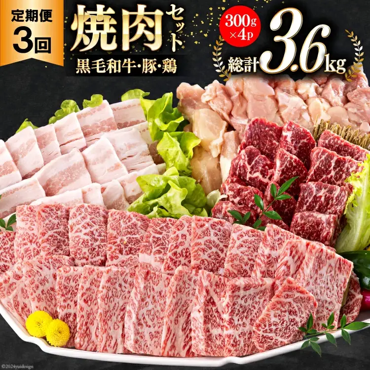 牛肉 3回 定期便 宮崎県産 焼肉 セット 黒毛和牛カルビ 豚バラ 若鶏モモ 各 300g 計 1.2kg ×3回
