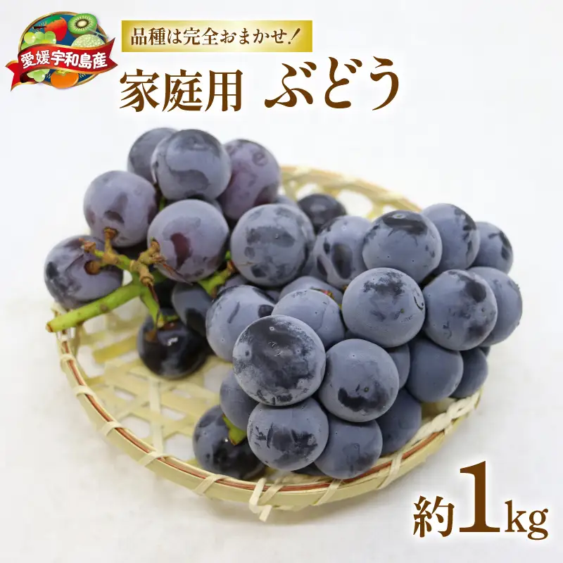 ぶどう 1kg マル南フルーツ [F010-106031] ぶどう