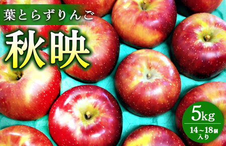 葉とらずりんご【秋映】5kg　14個～18個入り【9月20日受付終了】 ※2026年9月～発送