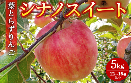 葉とらずりんご【シナノスイート】5kg　12個～16個入り【9月30日受付終了】 ※2026年10月～発送