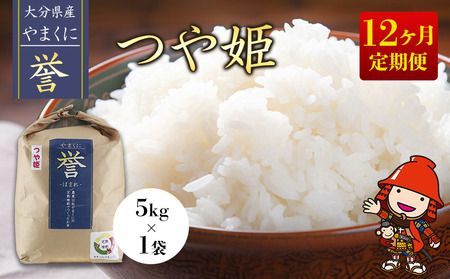 【寄附使途限定】【12ヶ月定期便】九州米・食味コンクール最優秀賞受賞 大分県中津産やまくに誉 つや姫 5kg×1袋 (毎月1回)  | お米 米 おこめ こめ 精米 白米 5キロ ご飯 九州産 国産 国産米 大分県米 九州米 定期 定期便 12回定期便 大分県 中津市