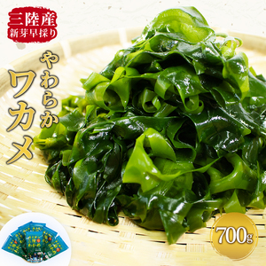 鐵五郎の三陸わかめ 700g 早採れ 塩蔵ワカメ 海鮮 海藻 魚貝類 魚介類 小分け みそ汁 スープ 酢の物 岩手県 大船渡市