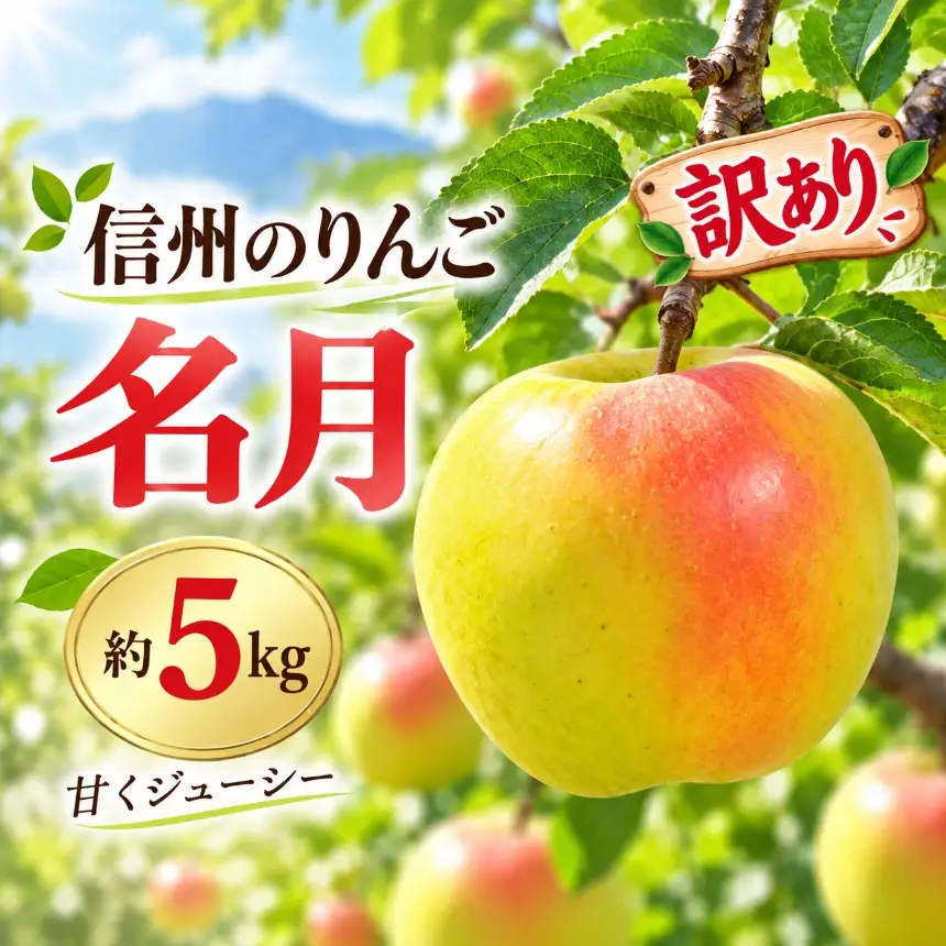 りんご 令和8年11月上旬発送 信州のりんご 名月 約5kg【018-35】