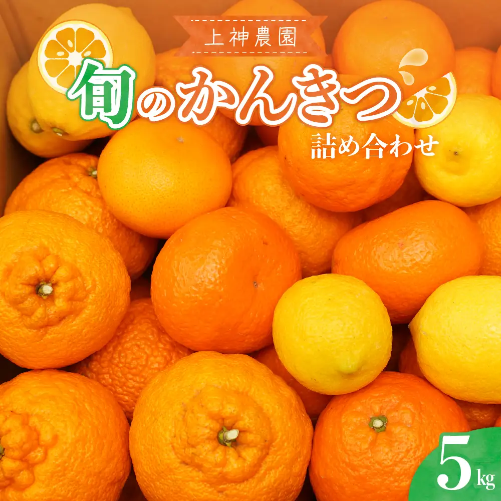 【先行受付】【2026年11月中旬～発送】上神農園 旬の柑橘詰め合わせ 約5kg