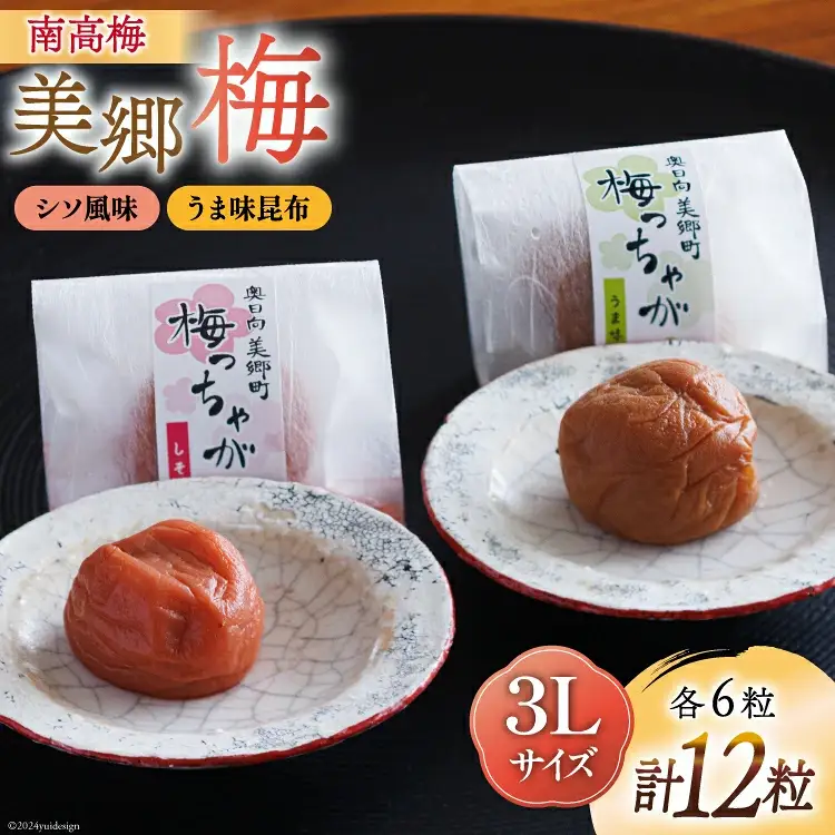 南高梅 梅干し 美郷梅 一粒入り うま味昆布 & シソ風味 各6粒 3Lサイズ A級品 化粧箱入り