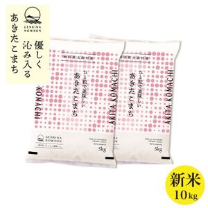 秋田県産 予約受付開始!あきたこまち【令和7年産】無洗米10kg(5kg×2)《10月中旬より発送》【配送不可地域：離島・沖縄県】【1414477】
