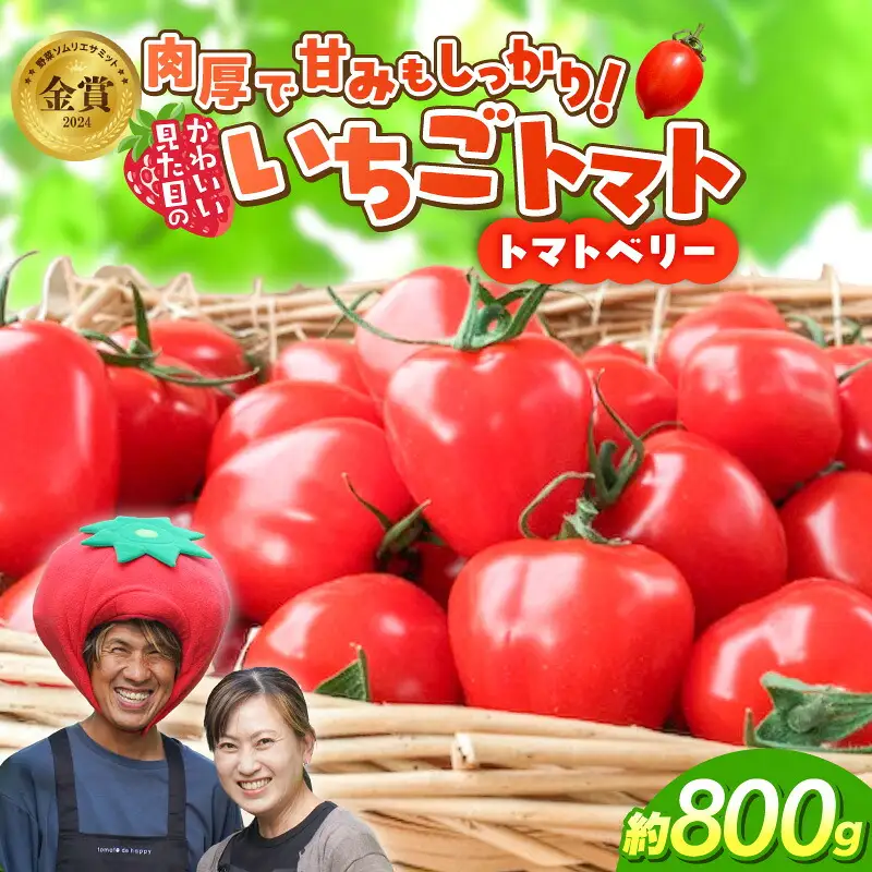 【2027年度予約分】【お試し】幻のミニトマト トマトベリー約800g 長田農園 野菜ソムリエサミット 金賞 受賞 産地直送 トマト とまと 野菜 やさい フルーツ サラダ 濃厚 甘い ご褒美 プレゼント 美容 健康 リピート多数 人気 高評価 先行受付 数量限定 碧南市 H004-177