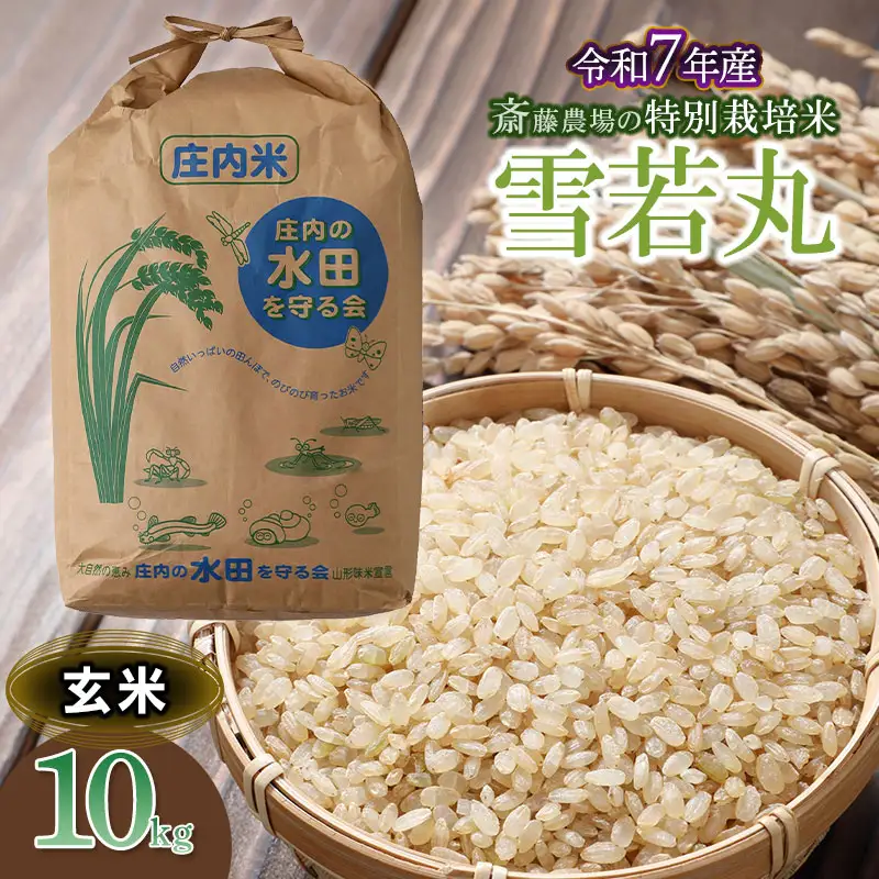 【令和7年産】斎藤農場の特別栽培米 雪若丸 玄米 10kg 山形県鶴岡市 [K-7117]