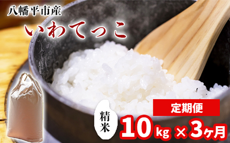 新米 先行予約 【令和8年産】 いわてっこ 精米 10kg （5kg×2袋）×3ヶ月定期便 《2026年11月より順次発送開始予定》 ／ 白米 岩手県産 中沢農産