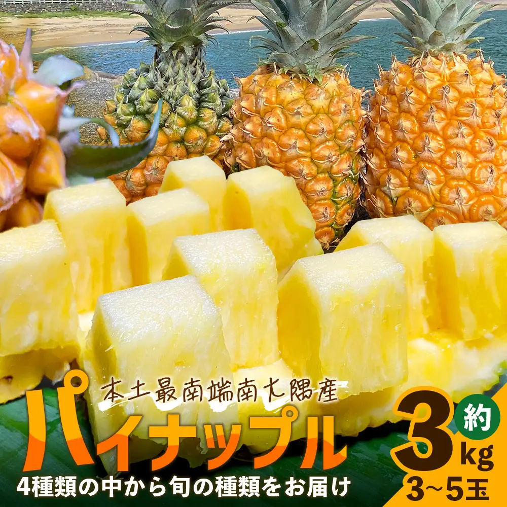 【数量限定！】国産パイナップル　約3ｋg（3～5玉）～なか農園おまかせセット～ NK-001 ｜パイナップル パイン フルーツ 果物 くだもの 数量限定 産地直送 新鮮 旬 ハワイ種 ピーチパイン ゴールドダイヤモンド ボゴール なか農園 鹿児島県 南大隅 