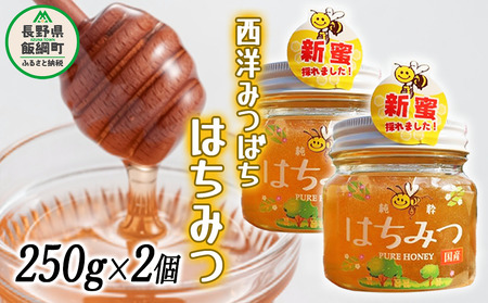 西洋みつばち の はちみつ 250g × 2個 ブンブン渋沢 沖縄県への配送不可 信州 蜂蜜 ハチミツ はちみつ ハニー 加工食品 国産 ご当地 長野 14000円 農家直送 長野県 飯綱町 [1119]