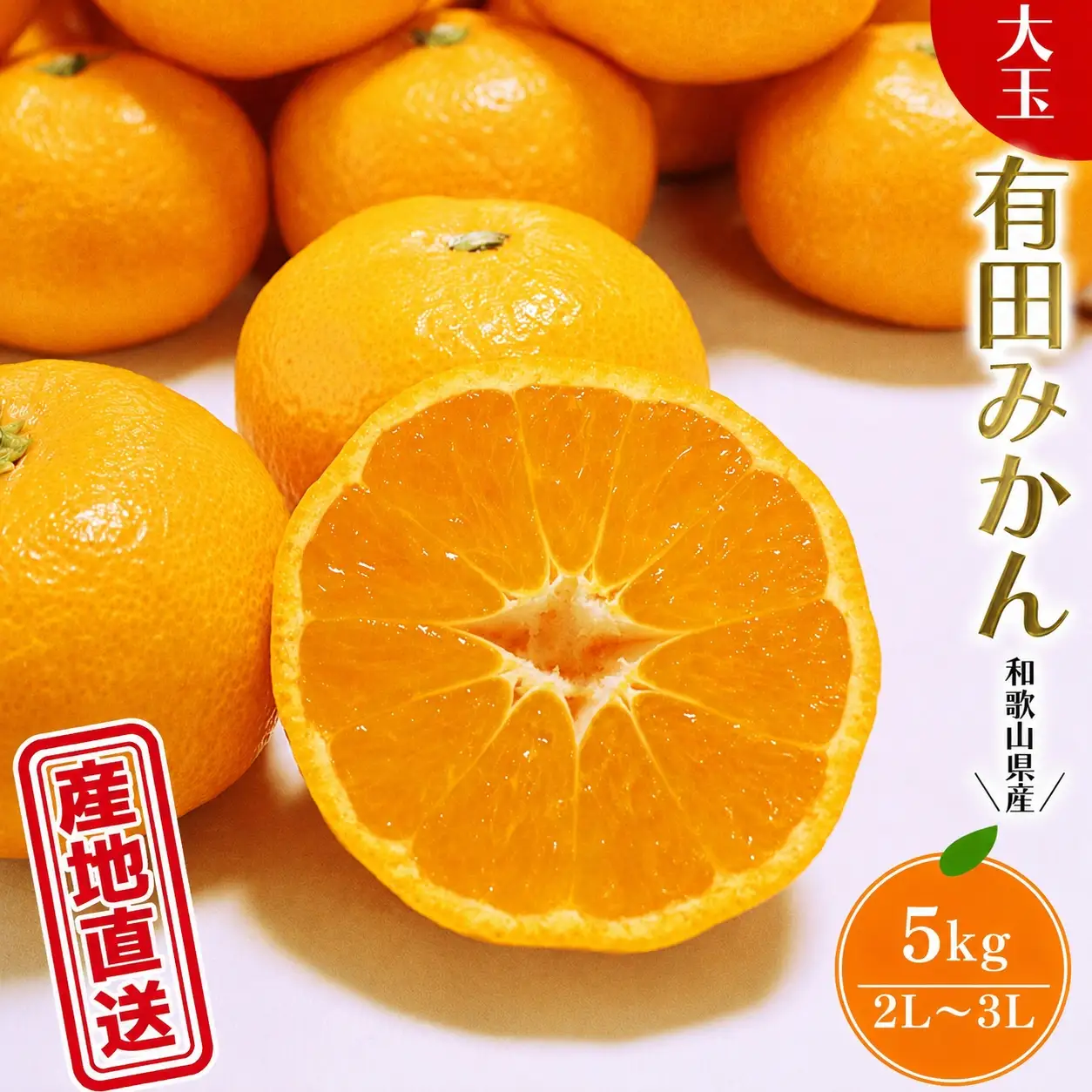 【先行予約】＼ みかんの名産地 和歌山県産／ 農家直送 大玉 有田 みかん 5kg （2L～3L）/ ミカン 果物 フルーツ 柑橘 ※2026年11月下旬～2027年1月中旬頃発送予定 【hdm004-l-5】